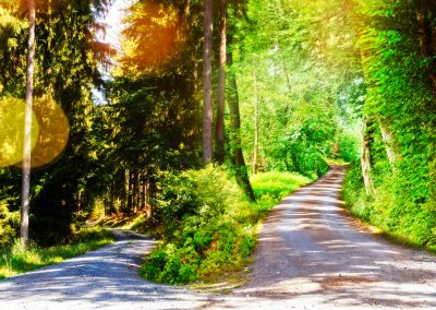 The Priority Paradox: How to Redefine Success with Quotes That Inspire