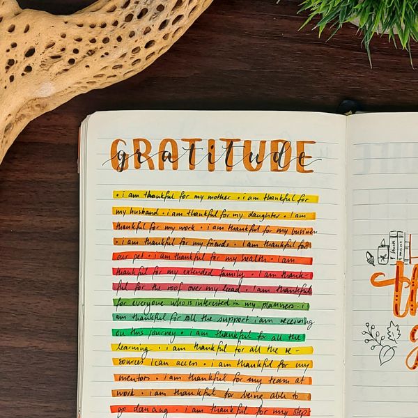 gratitude log
