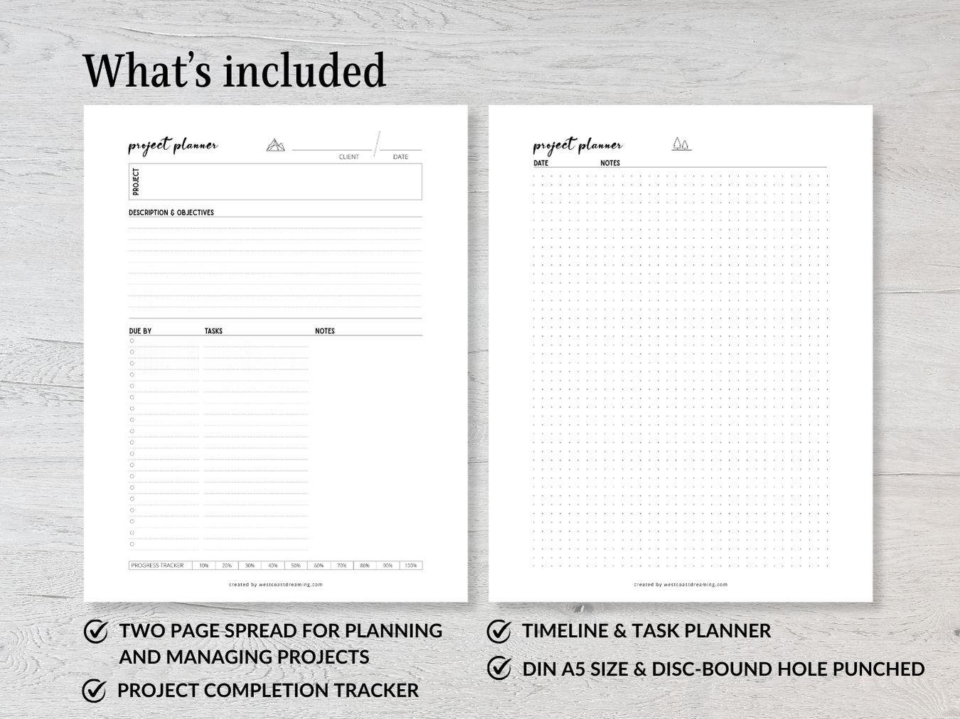 Project Plan description